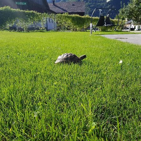 Appartement-Ennemoser Mellau Kültér fotó